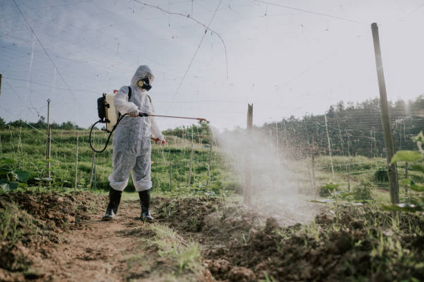 Best Ant Control Services  in High Rolls, NM