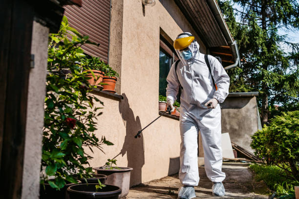Best Local Pest Control Services  in High Rolls, NM