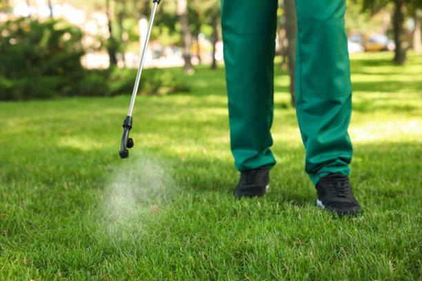 Best Pest Inspection Near Me  in High Rolls, NM