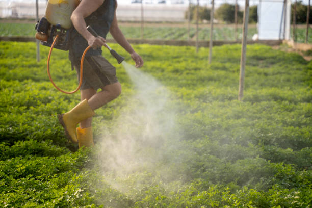Reliable High Rolls, NM Pest Control Solutions