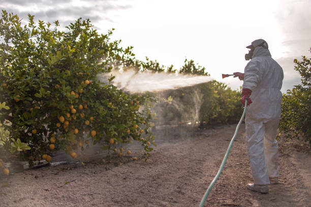 Best Ant Control Services  in High Rolls, NM
