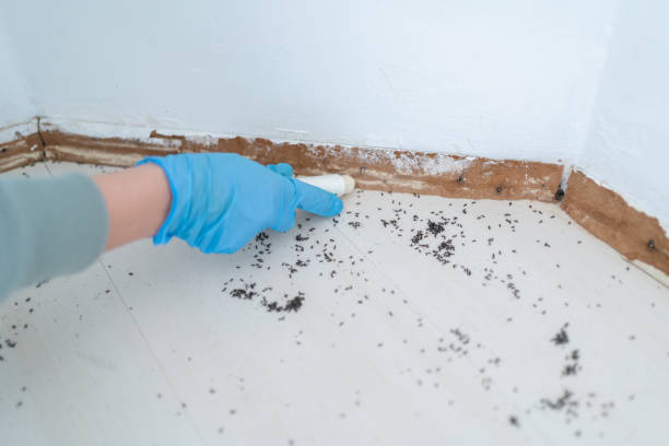 Best Commercial Pest Control Services  in High Rolls, NM